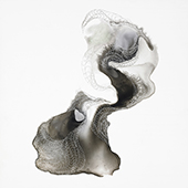 shell3